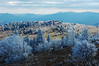 Clare & Mark > Frosted Highlands
