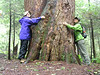 Cathedral State Park : Although Cathedral State Park is a beautiful place it is also a place of great sadness. Here the state protects 133 acres of virgin forest - mostly eastern hemlock - in what may be the largest stand of virgin forest left in the state. Before the industrial logging boom some 10 million acres of uncut forest covered the state and in places probably looked similar to this park. The buildings in the photos are at an old artist colony located near the park. An historic preservation group is working to restore the colony.