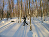 Arctic Blast Climax, WV 2007 : An Arctic Clipper followed a Nor'Easter setting up a blizzard that dumped 18 inches of snow in the Canaan Valley in 24 hours.  Everyone came out into the blizzard to play in the "ski everywhere" snow conditions. There was a Red Dress Run, backcountry tours and Baldy Steeps. What a weekend!!!