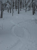 Clare & Mark > First Tracks in Weiss Knob Glades