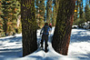 Clare & Mark > Snow Walking In Yosemite National Park, CA (3/2008) photo