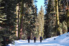 Clare & Mark > Glacier Point Road