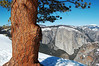 Snow Walking In Yosemite National Park, CA (3/2008) : Giant rock faces. Giant trees. Giant waterfalls. Yosemite National Park is saturated with some of nature's greatest creations. We met friends in early March for some "winter" touring in Yosemite when the summer crowds are missing and snow covers vast stretches of the park. Unusually warm weather baked the snow and triggered a quickening spring thaw, making snowshoeing and hiking the best way to travel on alternatively crunchy or slushy snow. We traveled along the rim of Yosemite Valley, on tree-line crests, up waterfall-filled canyons and through groves of Giant Sequoias. Yosemite, as Muir quickly realized, is clearly a special place with a concentration of beauty that has few North American rivals.