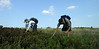 North Dolly Sods, WV - Dobbin Slashings Area 2005-2006 : The North Dolly Sods area is on U.S. Forest Service land north of the well-known Dolly Sods Wilderness in Tucker County, WVA. The Dobbin Slashings Bog lies west of the forest service land and recently came under the control of the West Virginia DNR. Access is from A-Frame Road and Canaan Valley Wildlife Refuge trails (seek permission to cross private lands for access here) or from Forest Road 75 at the Bear Rocks area. The area is bordered on the west by the outcroppings of Cabin Mountain and is known for remarkable upland plains, created largely by the hand of man. The plains contain boggy lowlands, red spruce stands and wide-open fields. Cranberries, huckleberries and blackberries are plentiful in the late summer. The trip featured here used the Dobbin Grade, Raven Ridge Trail, Cabin Mountain grade and Trail #9 in Canaan Valley Wildlife Refuge