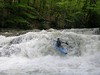 Falls on Laurel Fork of the Cheat. WV : The Laurel Fork of the Cheat is one of four upper forks in the Cheat watershed. This stream is unusually remote with no modern trails or roads penetrating along it. The creek's gorge is an intimate experience with rhodedendron, laurel, hemlock and hardwoods lining the banks. Midway through is this 12 foot waterfall. The remainder of the run is Class II-III+. Pictures taken May, 2005 at 14 inches on the Rt. 55 bridge gauge.
