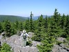 Roaring Plains, WV 2005/2006 : The Roaring Plains area borders Dolly Sods Wilderness to the south and contains terrain and scenery that is similar to the high plains of the Sods. Because it isn't designated wilderness, which tends to draw human crowds, the trails often offer solitude. The photos in this gallery are from trips using the South Prong Trail, Boar's Nest Trail and the tower access road the splits the area. In late summer, blueberries are plentiful on the trail and blackberries are plentiful on the forest road.