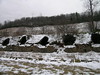Scenes in and around Thomas : Thomas has old buildings, old coal industry remnants and an old style that fits.