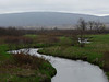 Little Blackwater of the Blackwater River, Canaan Valley National Wildlife Refuge, WV (5/2009) : Spring rains in early May brought up the hard to catch Little Blackwater of the Blackwater River. We paddled upstream from the end of the Camp 70 Road and spent a lovely day enjoying the scenery and wildlife. Baby beavers, a barred owl, a hawk eating lunch a pair of deer more than made the trip worthwhile.